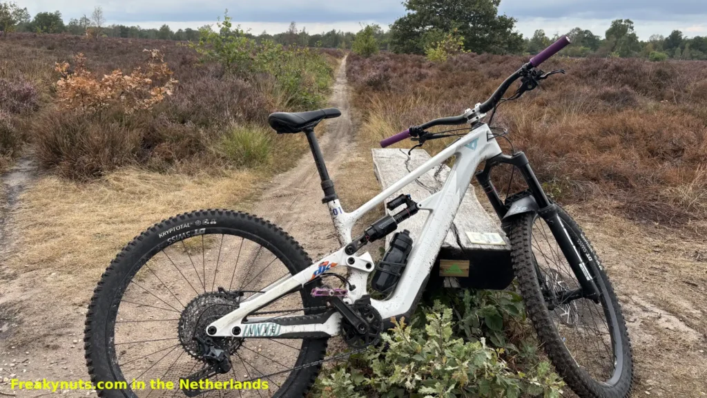 Mountain biking across the Ermelosche Heide on the Veluwe in the Netherlands.