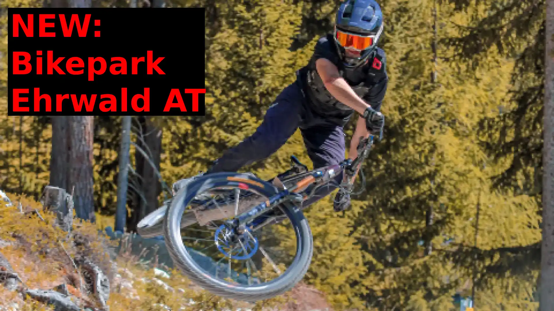 Bikepark Ehrwald: No Glam Biking, Just Proper Mountain Biking